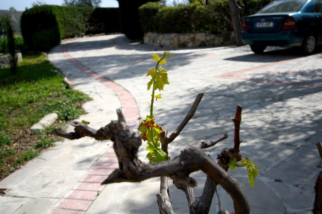 Alonia Villas Pissouri Exterior photo