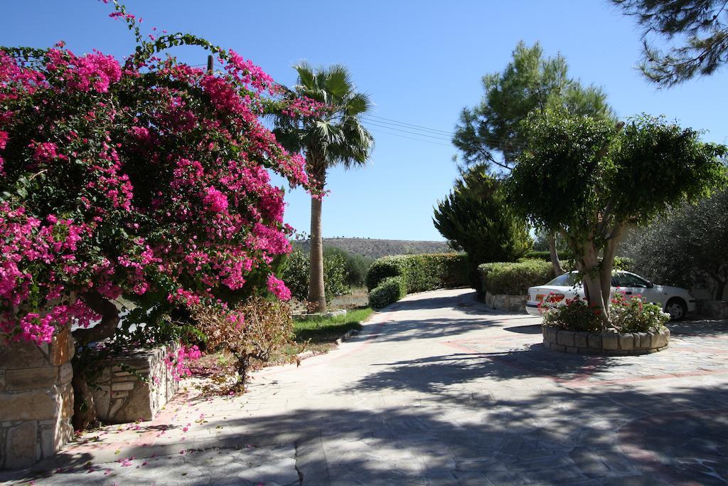 Alonia Villas Pissouri Exterior photo