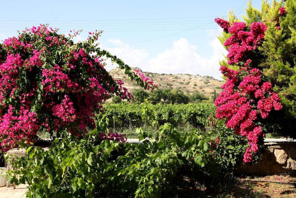Alonia Villas Pissouri Room photo
